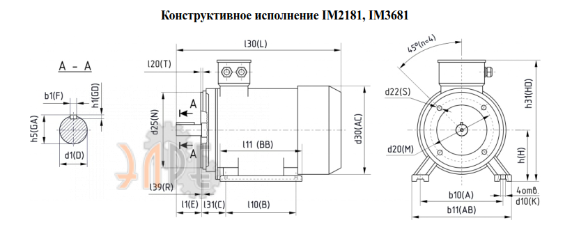 исполнение комбинированное с малым фланцем IM2181